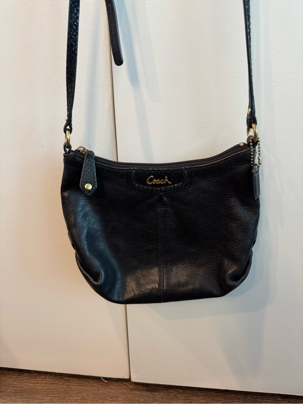 Coach Ashley Crossbody Bag